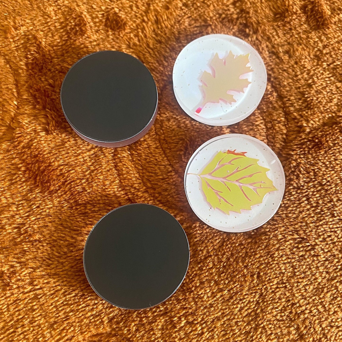 Fall leaves Magnet Set